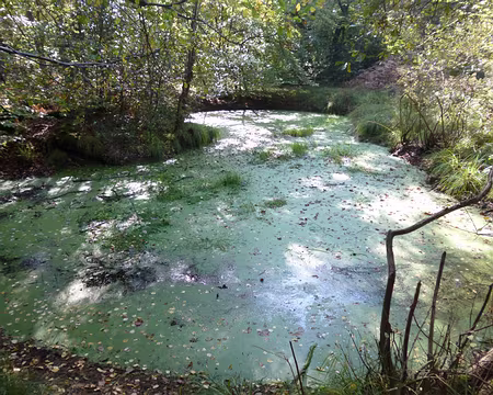 P1060103 Mare aux Ligueurs