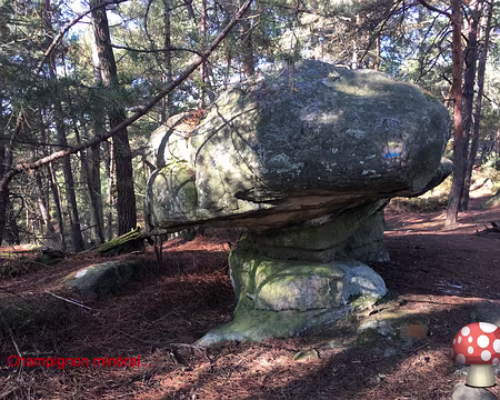 rdv-automne-2017_23905564028_o