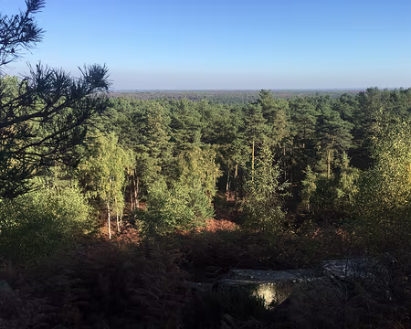 rdv-automne-2017_23905580648_o