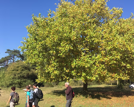 rdv-automne-2017_23905760818_o