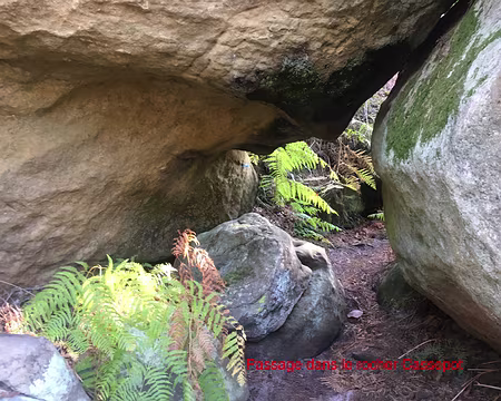 rdv-automne-2017_37088251523_o