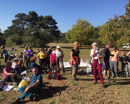 rdv-automne-2017_37710211166_oi12z2177