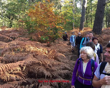 rdv-automne-2017_37726536082_o