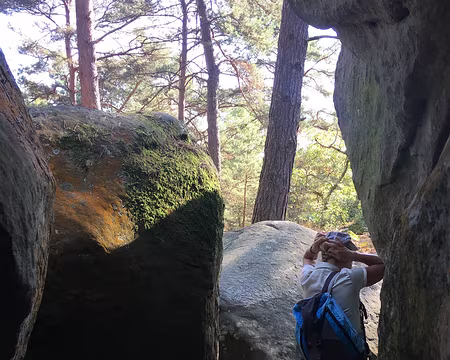 rdv-automne-2017_37758921441_o