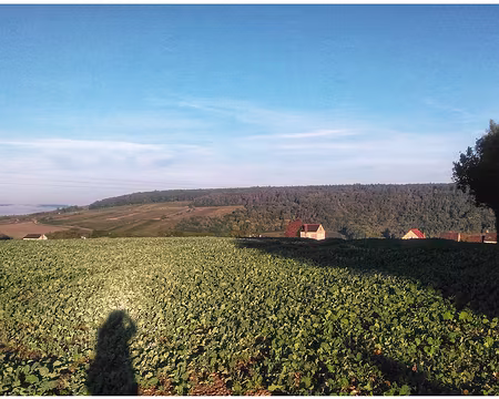 Tonnerre (02) Vaulichères