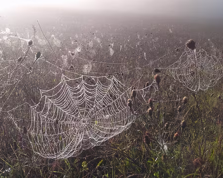 Tonnerre (07) à travers