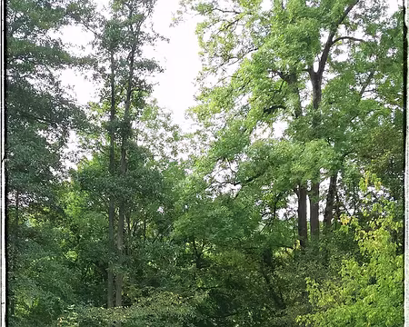 Tonnerre (31) trouée