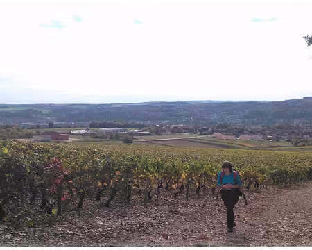 Tonnerre (32) Epineuil