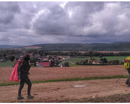 Tonnerre (54) coteaux