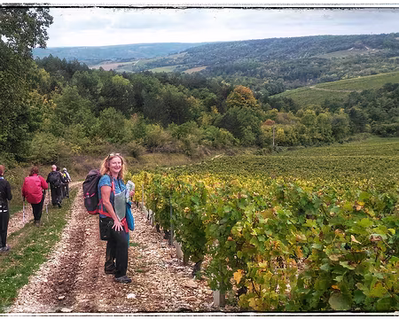 Tonnerre (58) vignoble