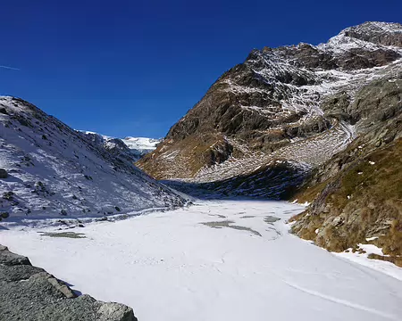 DSC_0218