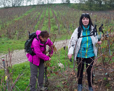 2017_11_09_11-16-35 Flagrant délit