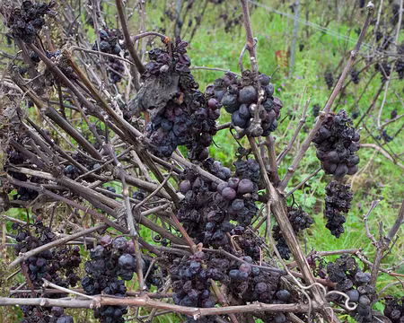 2017_11_09_12-19-25 Problème de succession