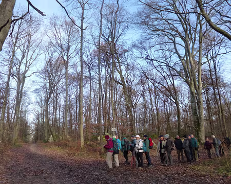 P1060358 Carrefour du Merle blanc
