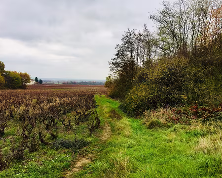 IMG_6878 Départ de Bellevile sur Saone