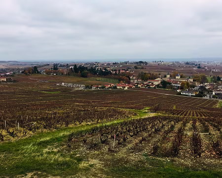 IMG_6890 ... on continue