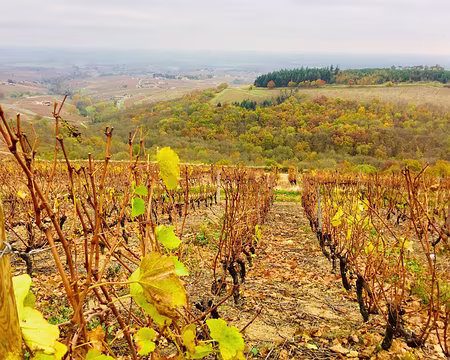 IMG_6915 Après cette pause, on continue la rando