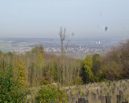 P1060115 Asnières-sur-Oise en bordure de la forêt de Carnelle