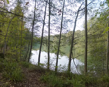 P1060120 Le petit étang près du lac bleu