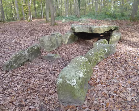 P1060121 La Pierre Turquaise, allée couverte datant du néolithique (de 2500 à 1700 avant JC)...