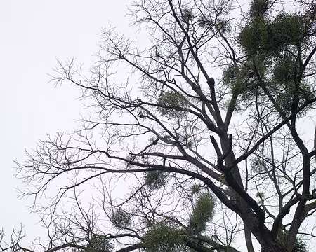 2017_11_15_12-18-51 Gui