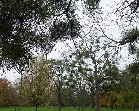 2017_11_15_12-19-18 Gui