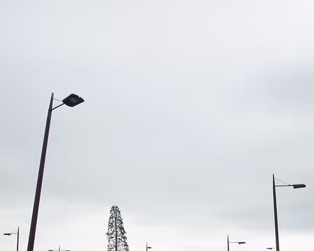 2017_11_15_14-19-43 Séquoïa