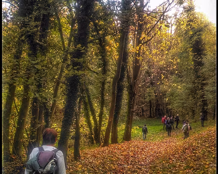 Champagne (03) sur l'aqueduc de la Dhuys