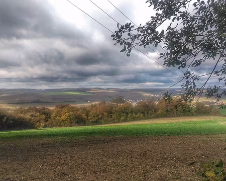 Champagne (04) Côteaux de la Marne, rive gauche