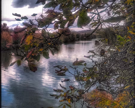 Champagne (05) La Marne à Nogent l'Artaud