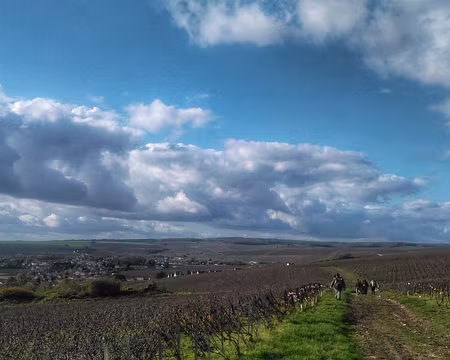 Champagne (12) à 150 m d'altitude seulement, la vue est étendue.