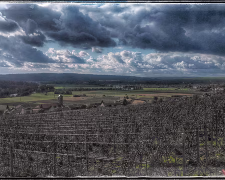 Champagne (14) Saulchéry