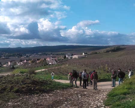 Champagne (17) Ruvet