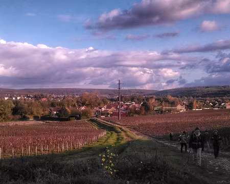 Champagne (25) Après Charly