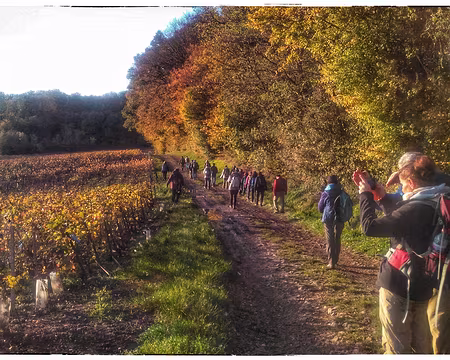 Champagne (29) Alain Zurcher est passera ici jeudi (cf son album)