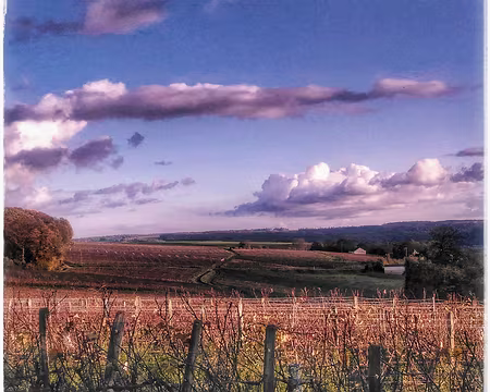 Champagne (30) Couleurs Champagne