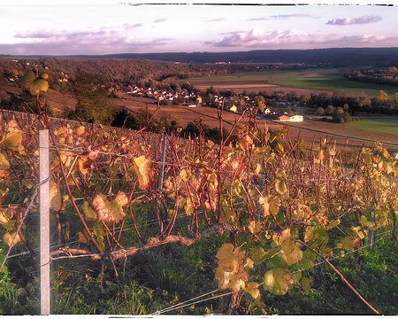 Champagne (31) Charly