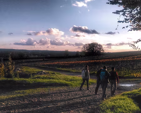 Champagne (31b) Quand les ombres s'allongent