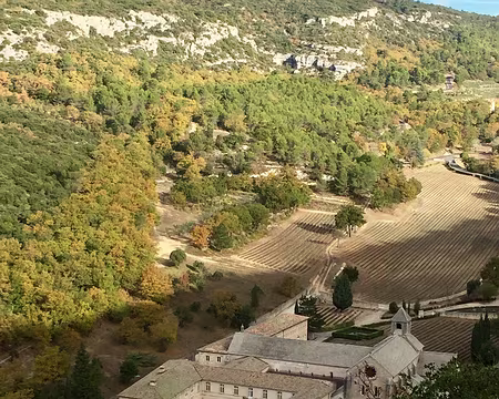 IMG_6762 Abbaye de Sénanque