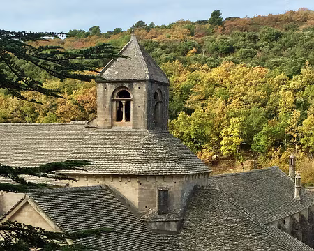 IMG_6764 Abbaye de Sénanque