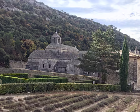 IMG_6777 Abbaye de Sénanque