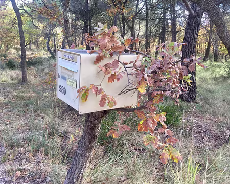 IMG_6786 Boite aux lettres camoufflée !