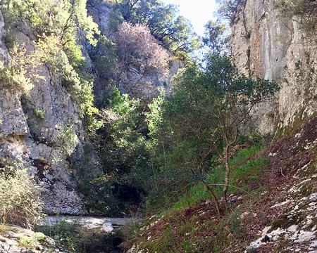 IMG_6819 Gorges de la Véroncle