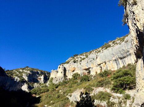 Florence Florence LP, détail sortie