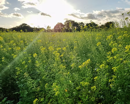 20171105_162948i2z2191