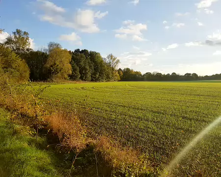 20171105_163613