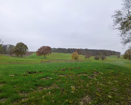 P1060340 Golf de Montgriffon