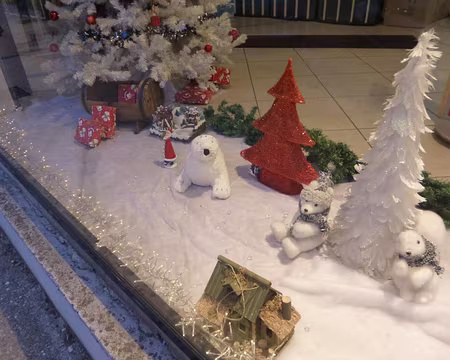 P1060356 Noël approche. Merci à Jean-Claude.