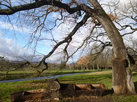 2017-12 Bois de Boulogne