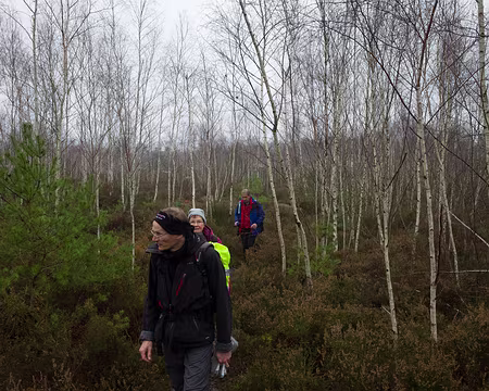 2017_12_20_12-25-48 Bouleaux